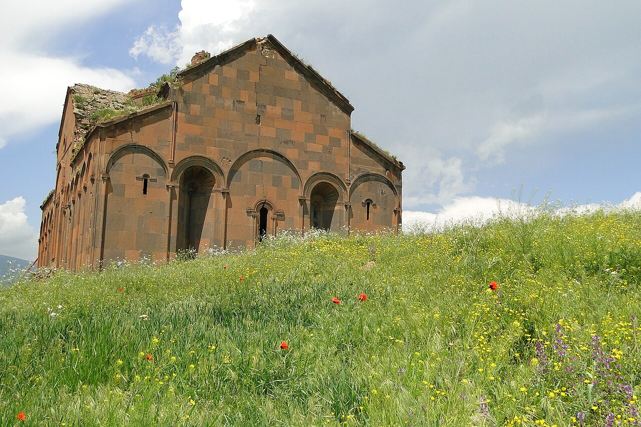 Ani Büyük Katedrali ve bozkır