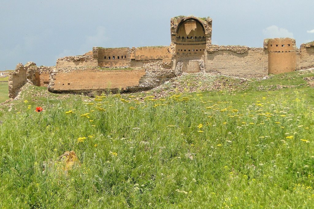 Ani dış surları ve peyzaj