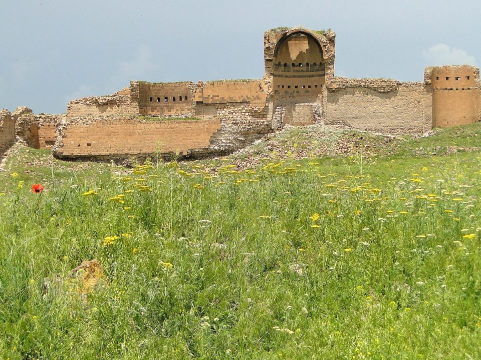 Ani dış surları ve peyzaj